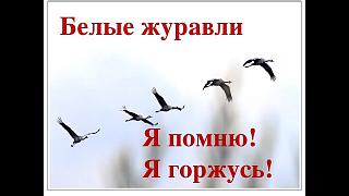  ДЕНЬ БЕЛЫХ ЖУРАВЛЕЙ